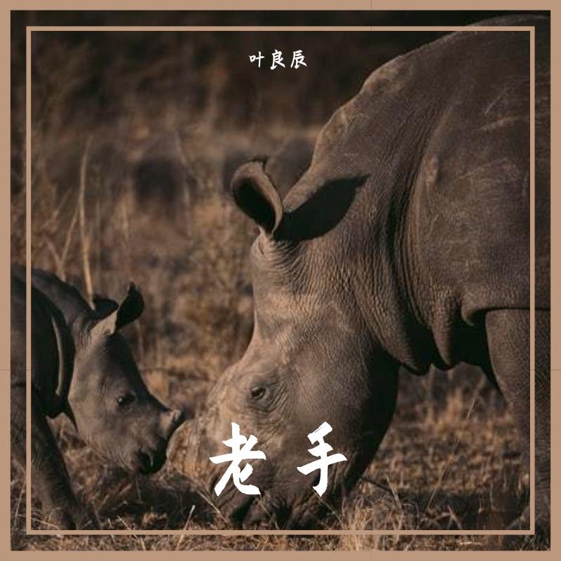 Beginn封面