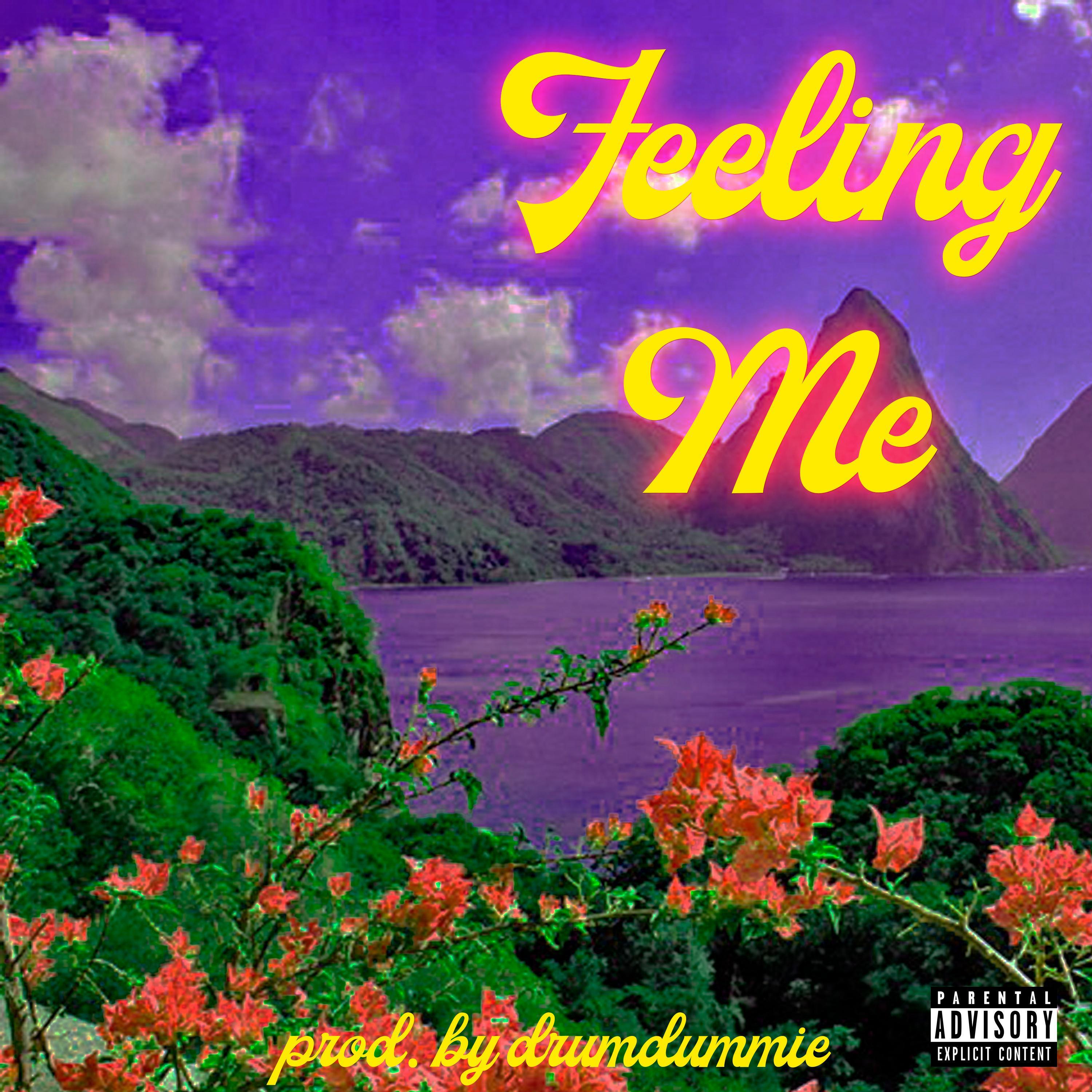 Feeling Me (feat. DrumDummies)