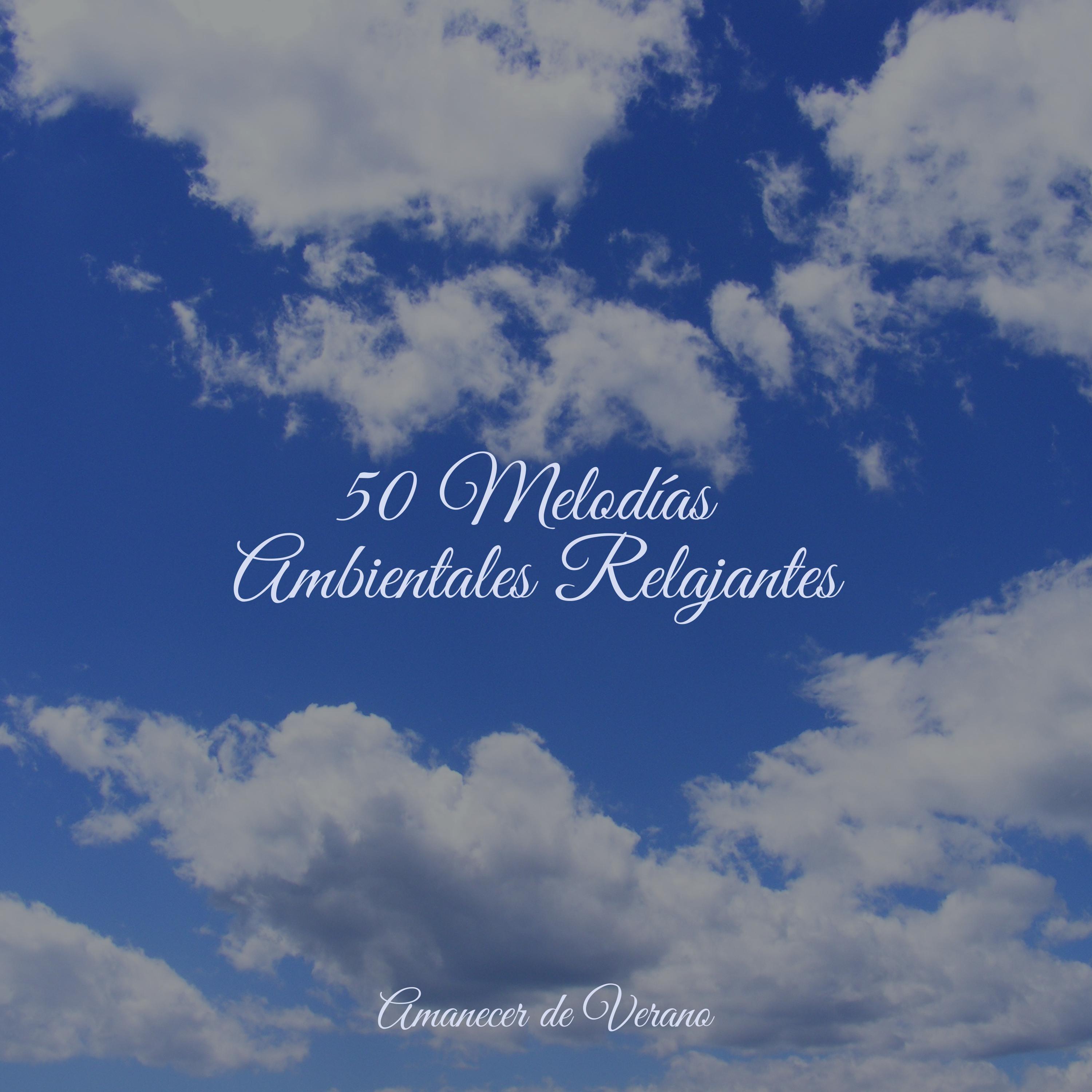 El Amanecer de la Sinfonía del Fénix