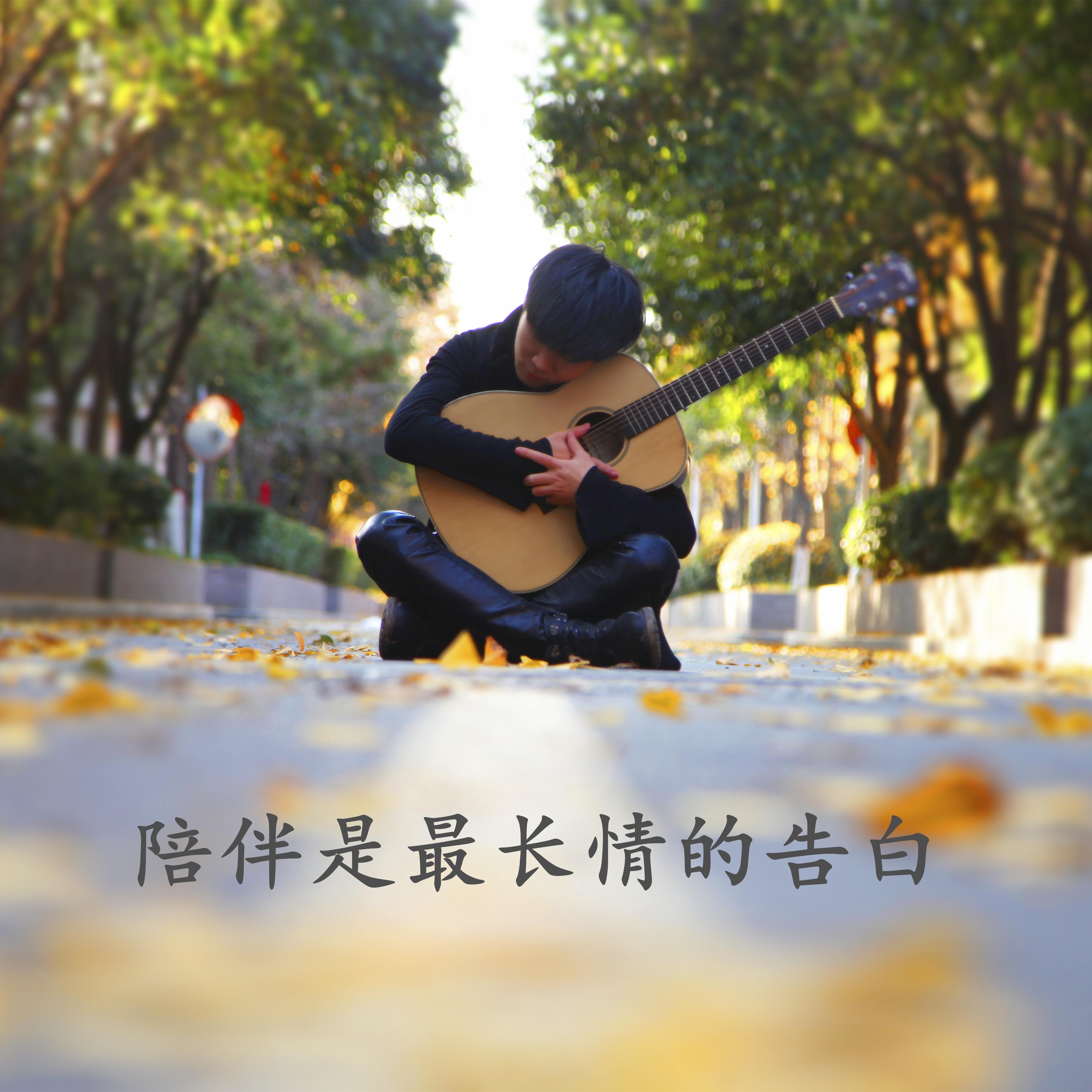 陪伴是最长情的告白封面