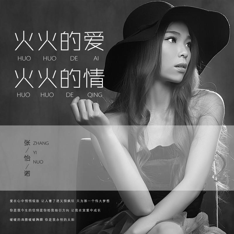 火火的爱火火的情 (DJ版)封面