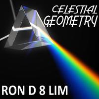 Celestial Geometry