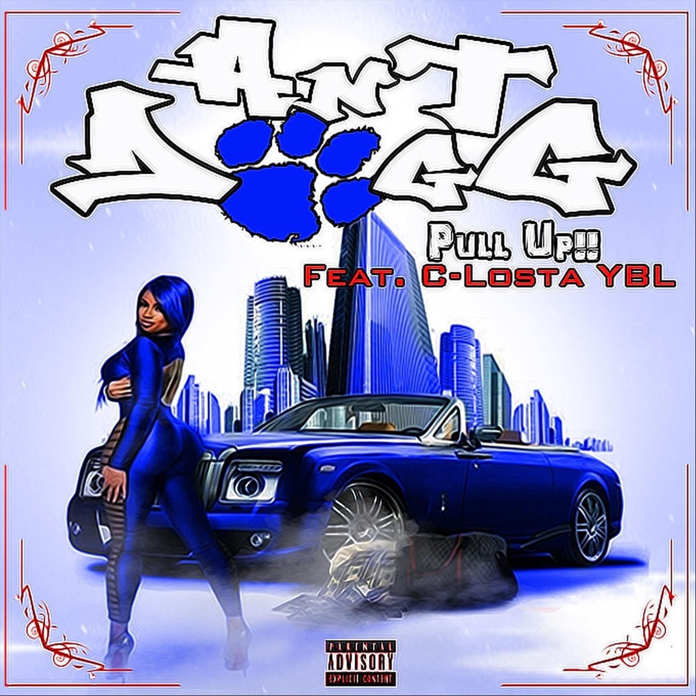 Pull Up (feat. C-Losta Ybl)