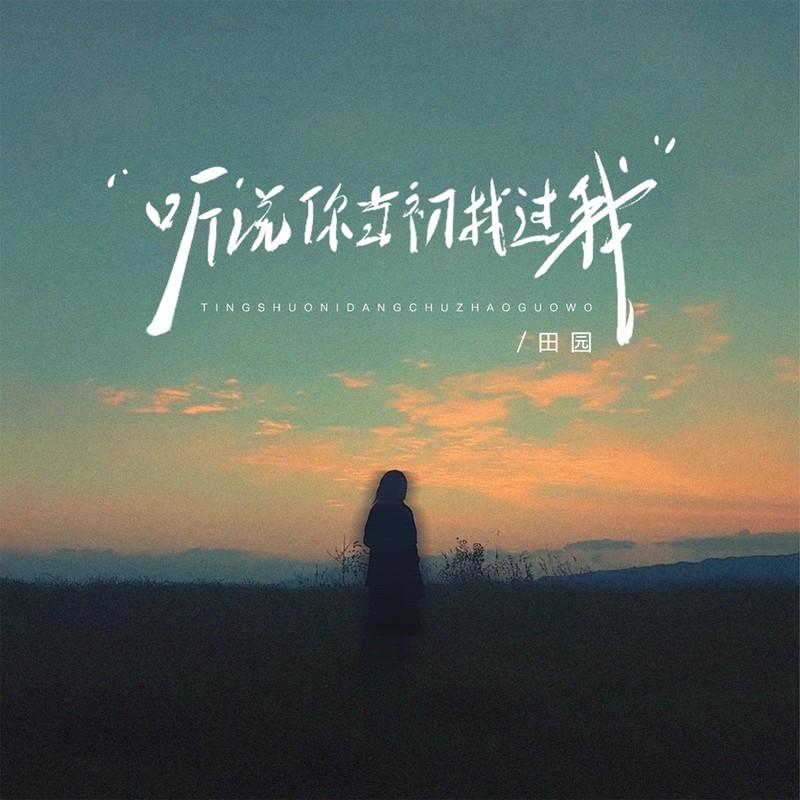 听说当初你找过我(DJ版) - 田园封面