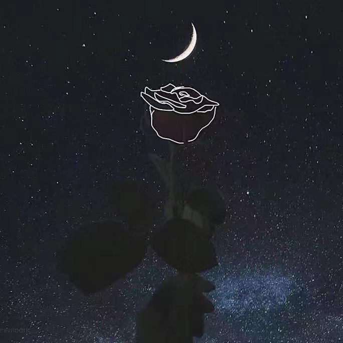 怪你过份美丽封面