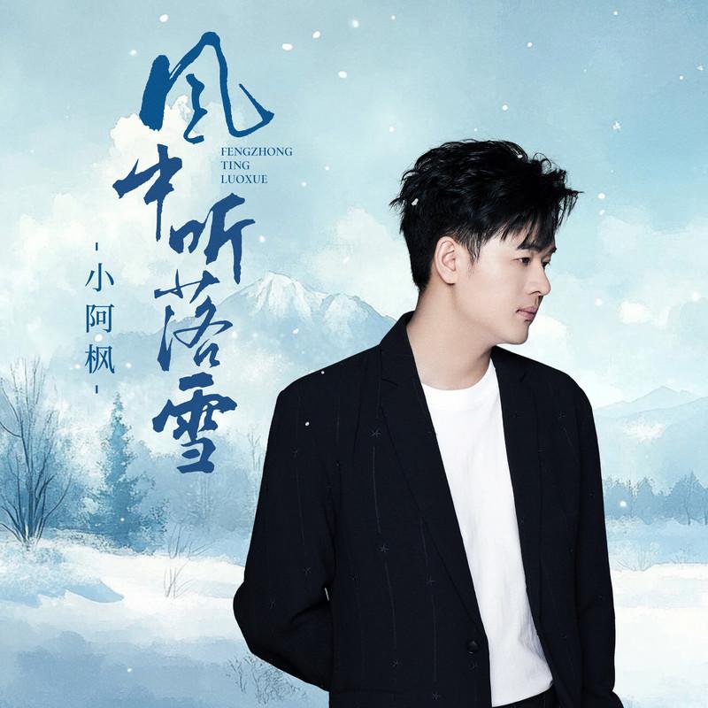 风中听落雪(DJ版)封面
