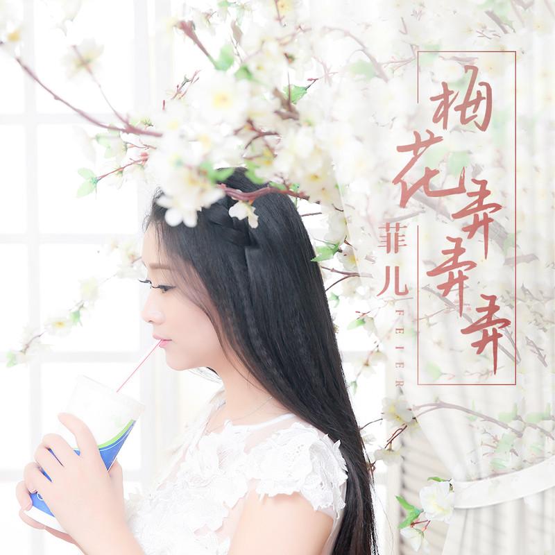 梅花弄弄弄 (DJ沈念版)封面