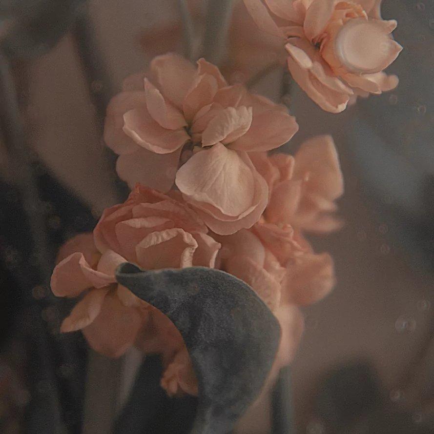 拒绝容貌焦虑音频