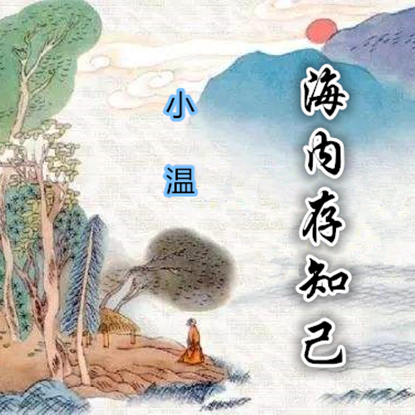 海内存知己 - 小温封面