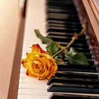 林商羽资料,林商羽最新歌曲,林商羽MV视频,林商羽音乐专辑,林商羽好听的歌