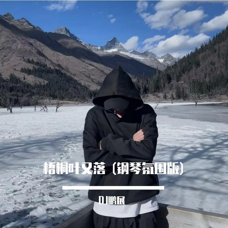 梧桐叶又落 (钢琴氛围版)封面