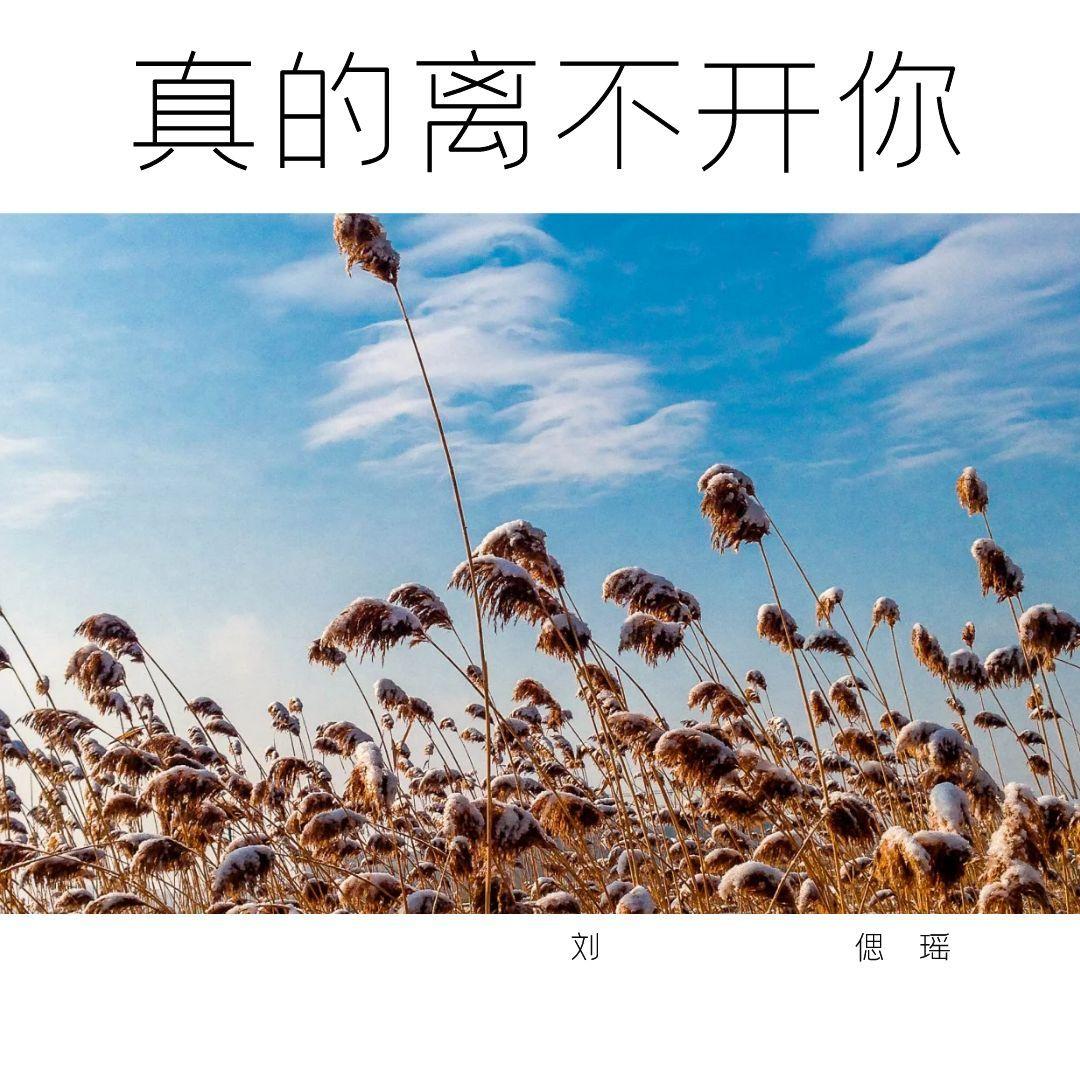 真的离不开你封面