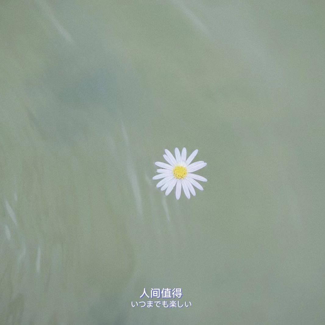 旧时年少 缺男声伴奏 - 白云轻i封面