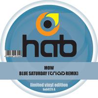 Blue Saturday (Triad RMX & Original Mix)