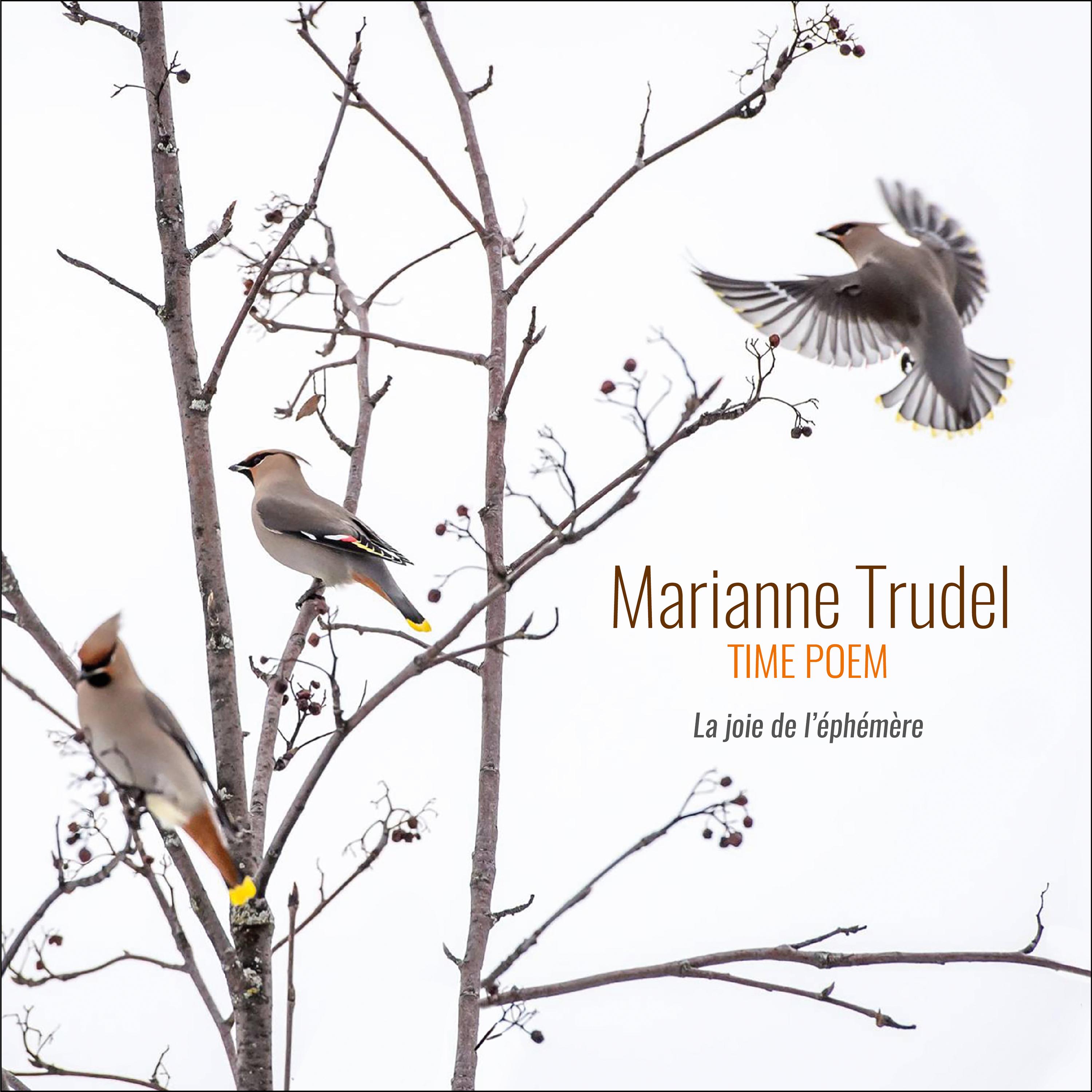 Chanter la mer, chanter la terre_Marianne Trudel_Time Poem: La joie de l'éphémère | 在线播放_Chanter la mer, chanter la terre歌词_Chanter la mer, chanter la terre下载 | 网易云音乐