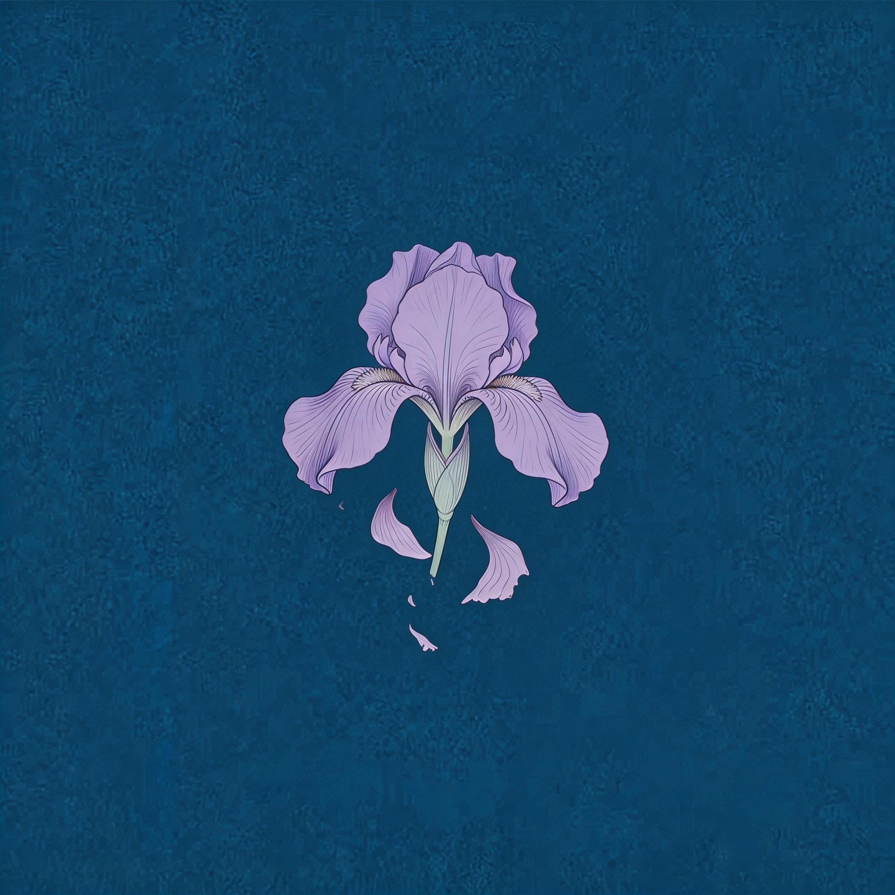 寂寞的男人（R&B）