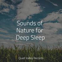 Sounds of Nature for Deep Sleep