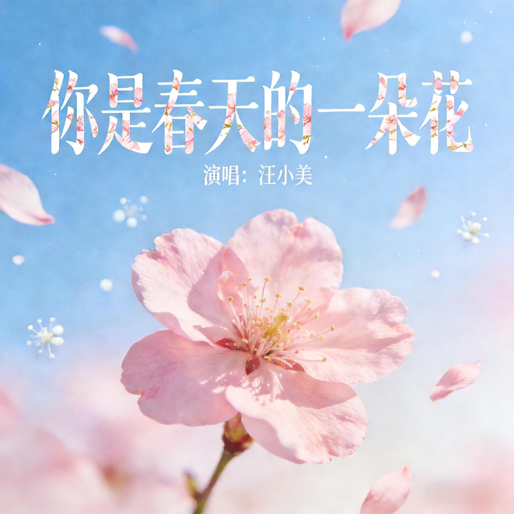 你是春天的一朵花封面