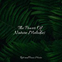 The Power Of Nature Melodies