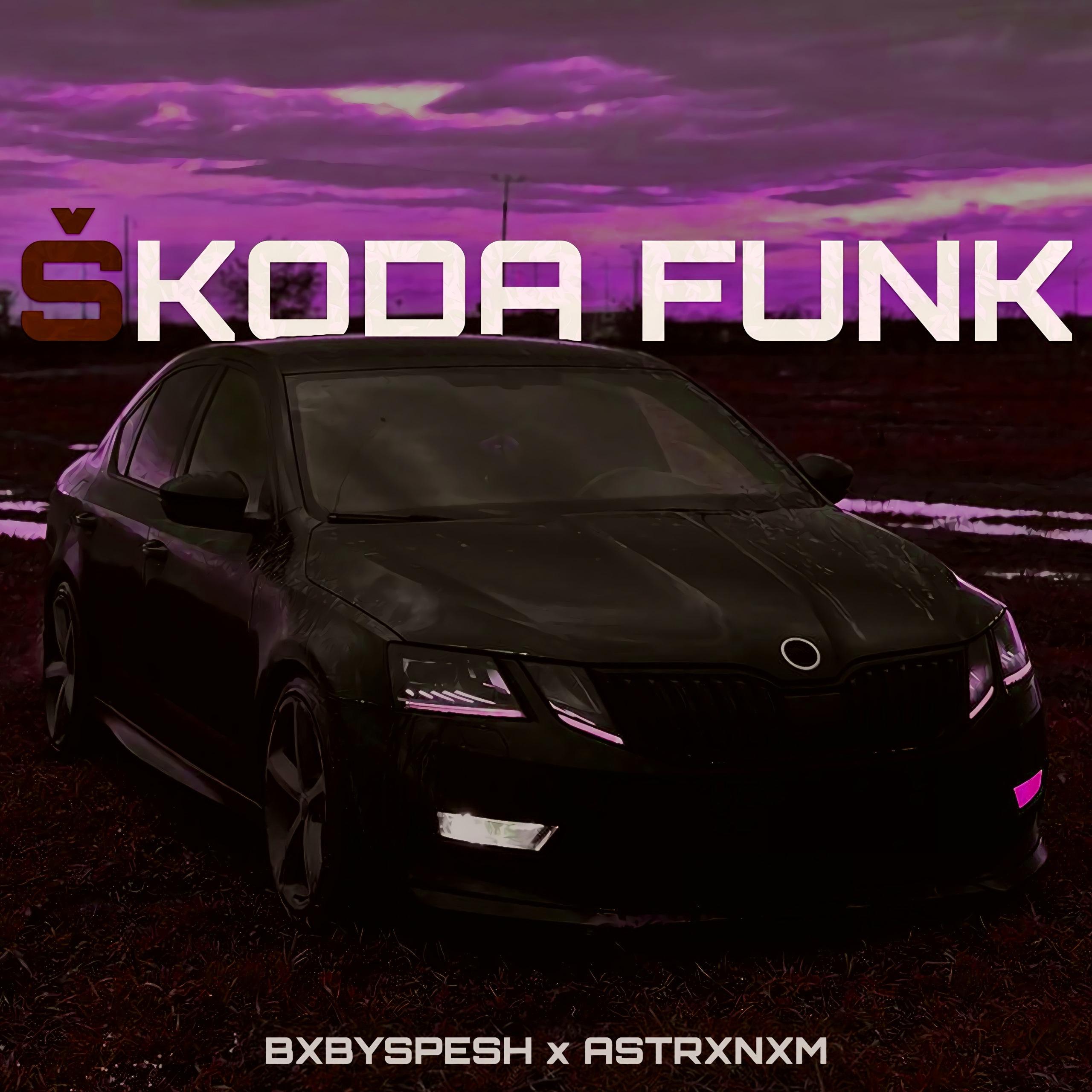 SKODA FUNK (Slowed Version)