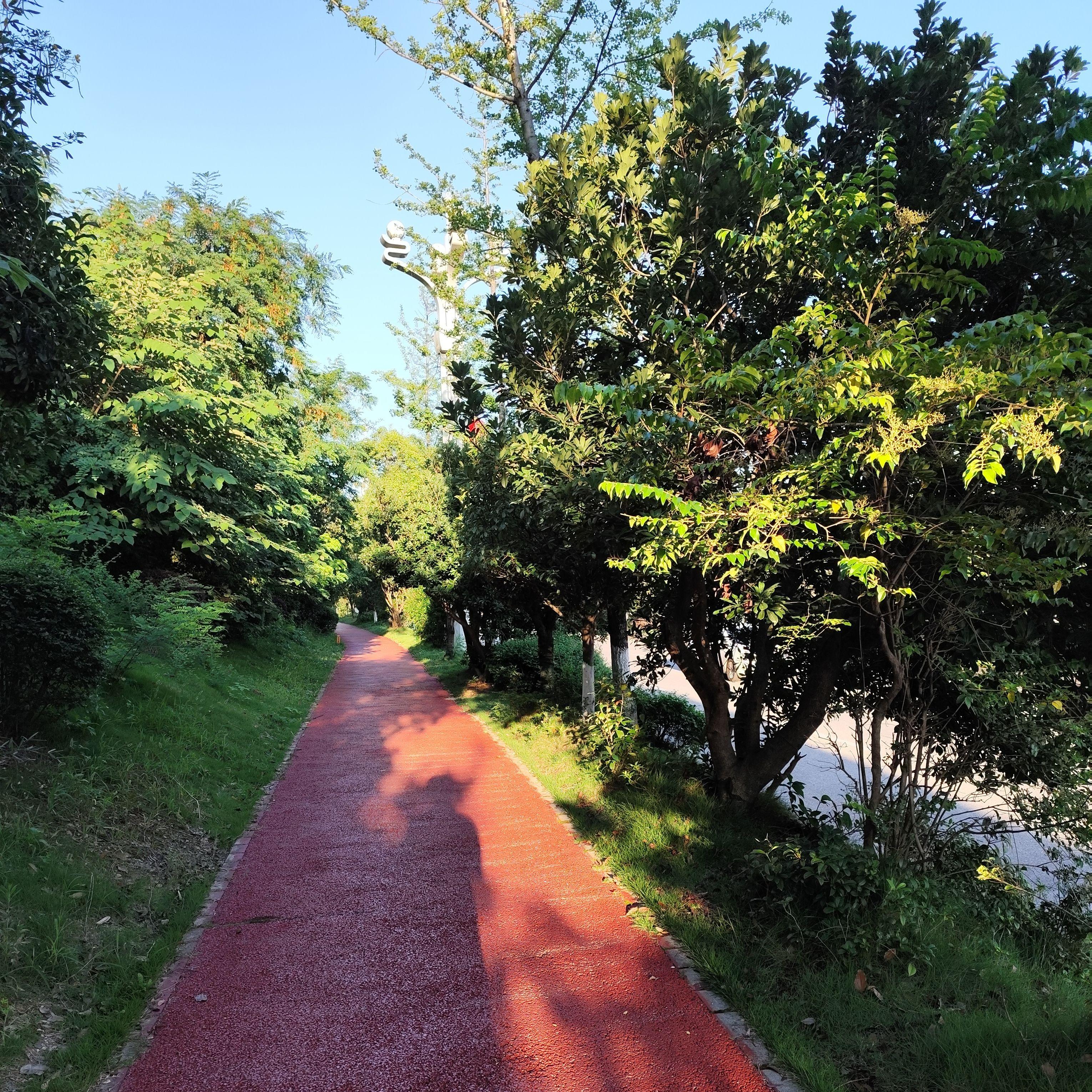 爱的就是你（原唱：刘佳）