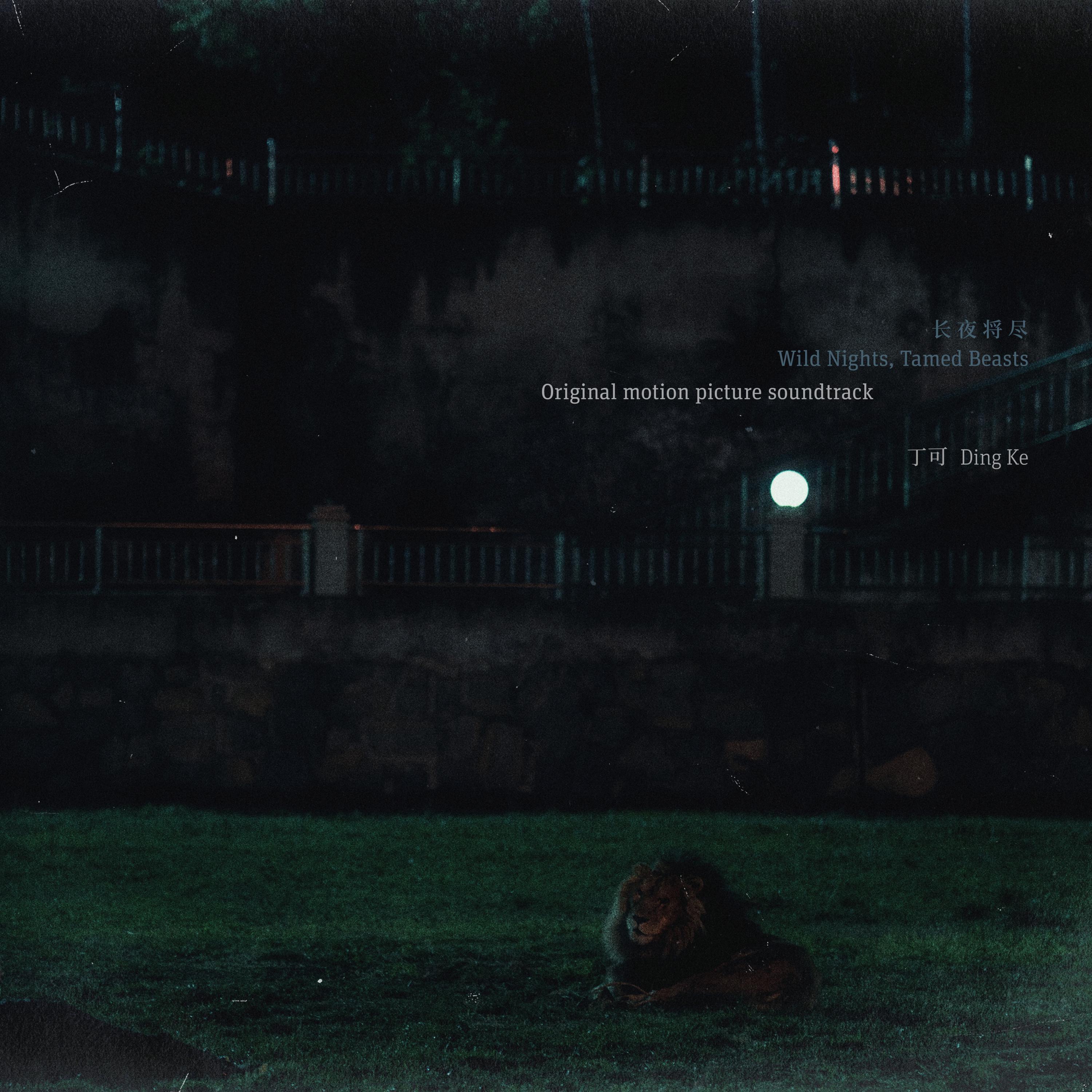 家在黄昏里慢慢亮起来