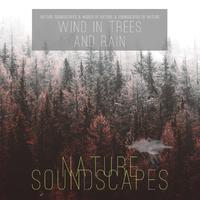 Wind in Trees and Rain