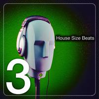 House Size Beats, Vol. 3 (The House Beats)