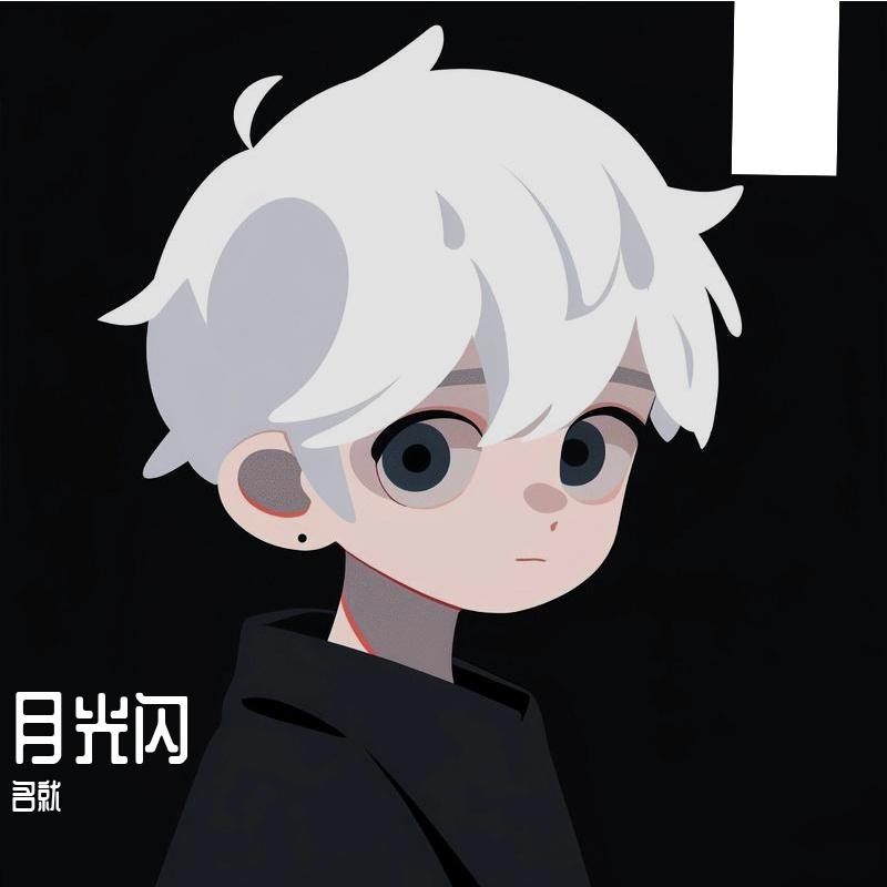 月光闪封面