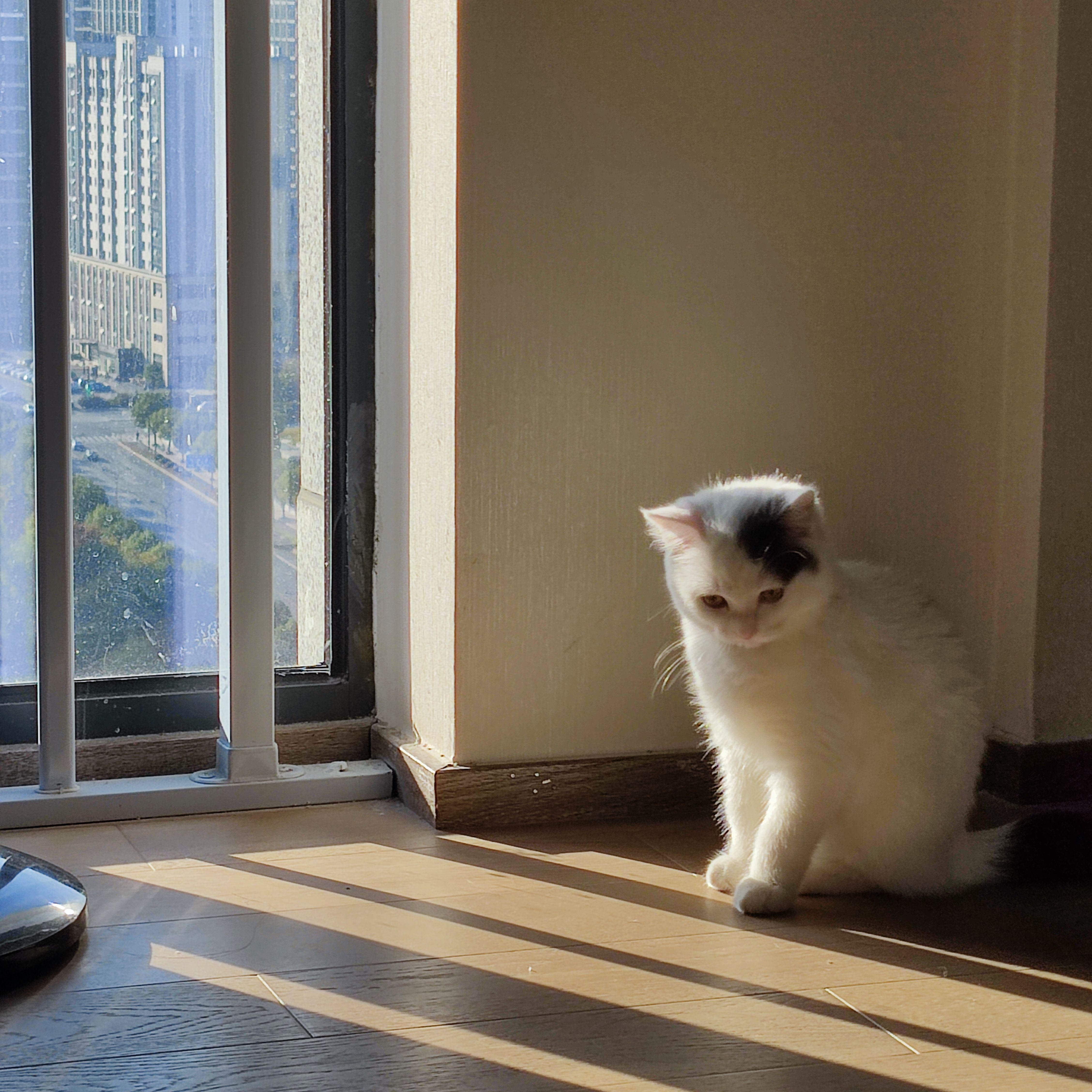 期遇相闻 （翻自梅粮新）