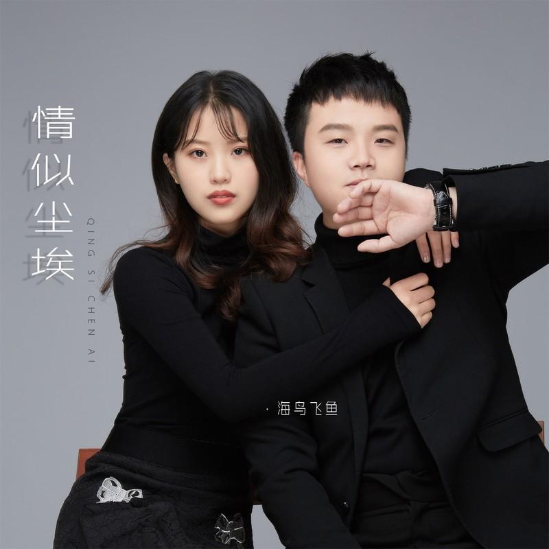 情似尘埃 (DJ名龙版)封面