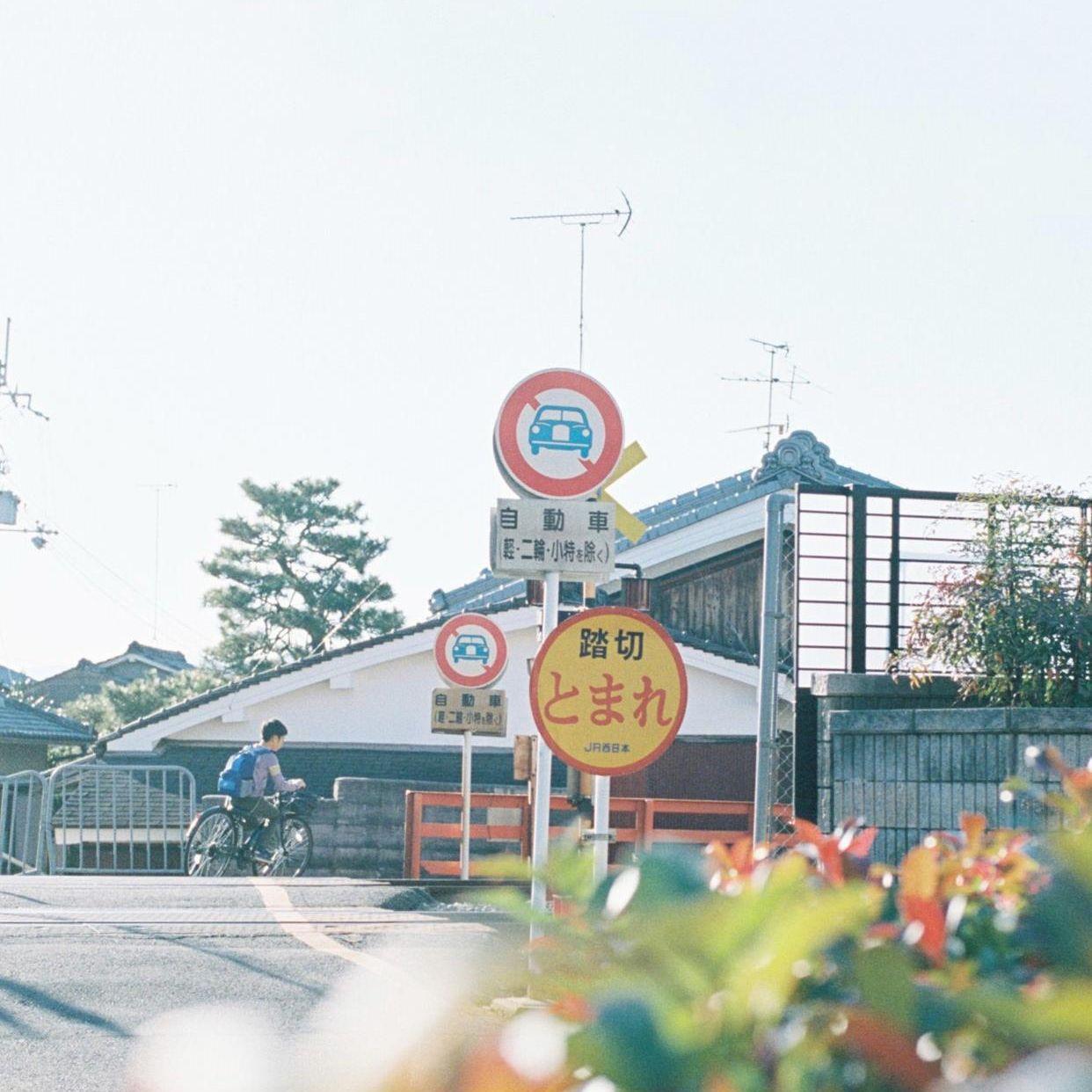 海的梦 伴奏封面