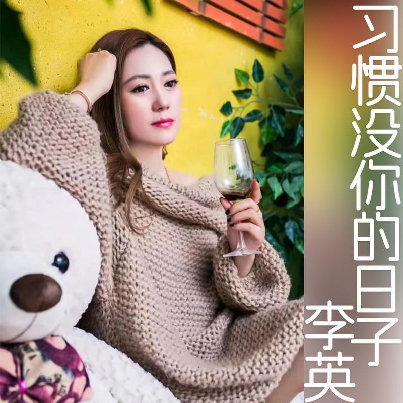 习惯没你的日子封面
