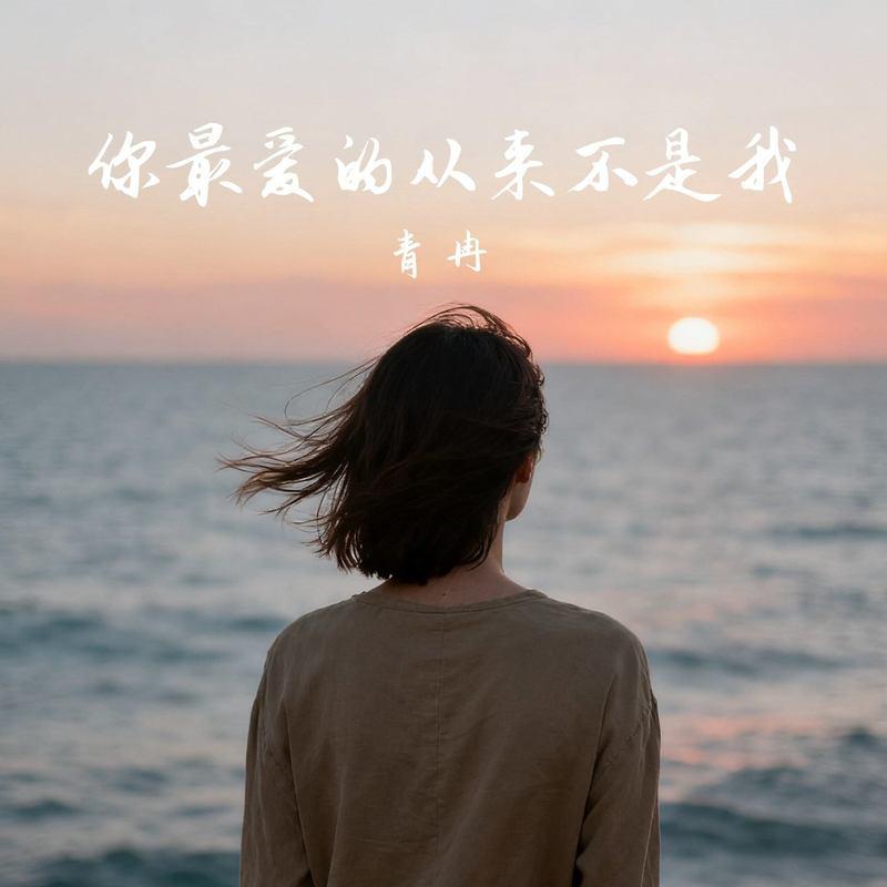 你最爱的从来不是我封面