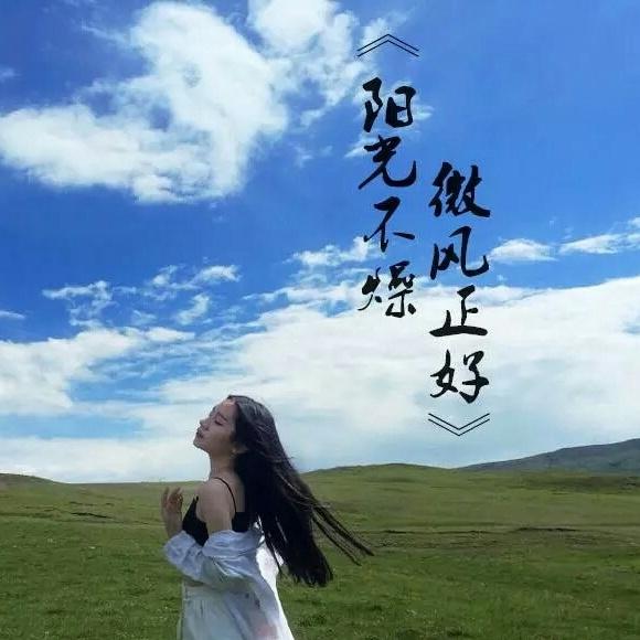 阳光不燥 微风正好  (伴奏)封面
