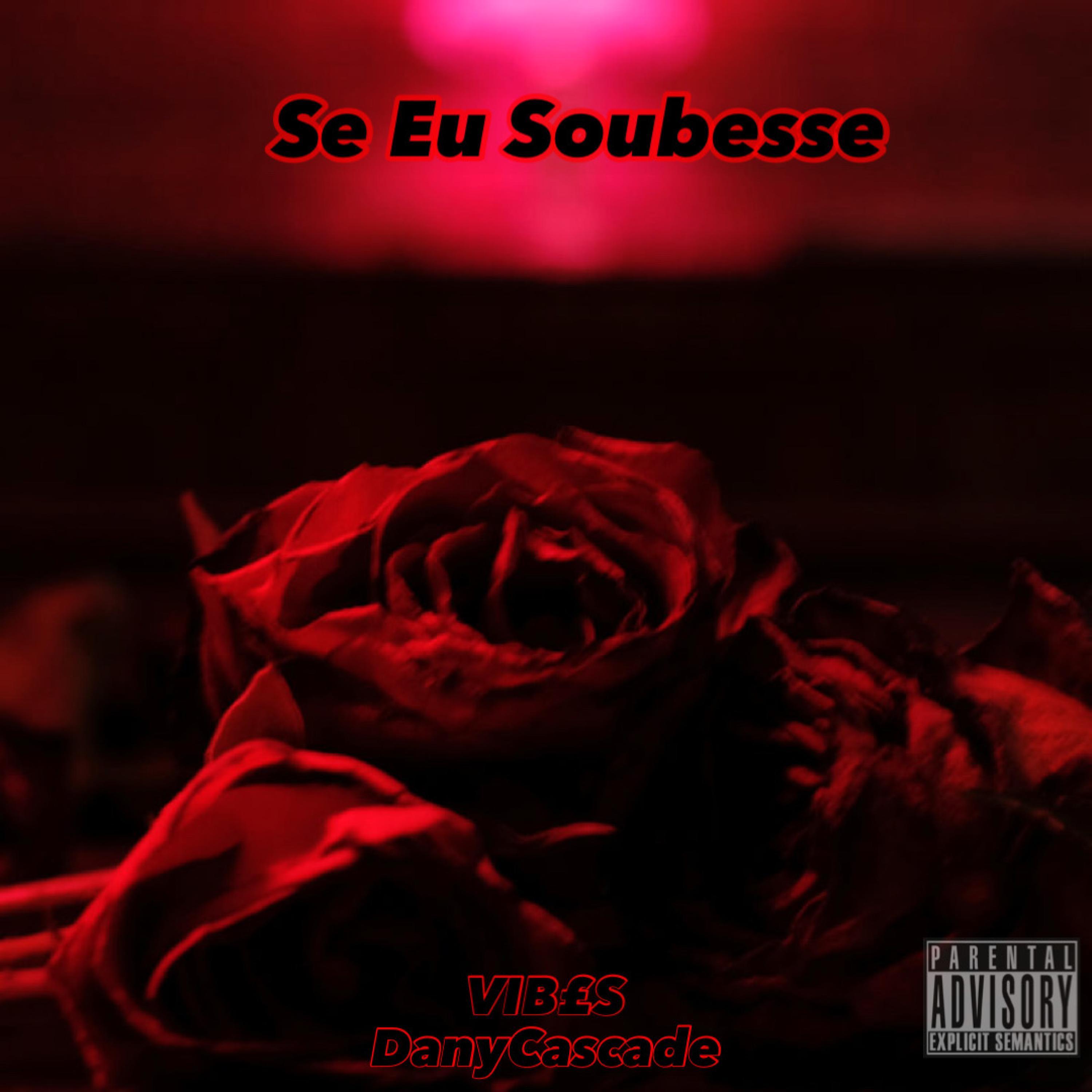 Se Eu Soubesse (feat. DanyCascade)