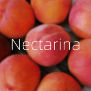 Nectarina