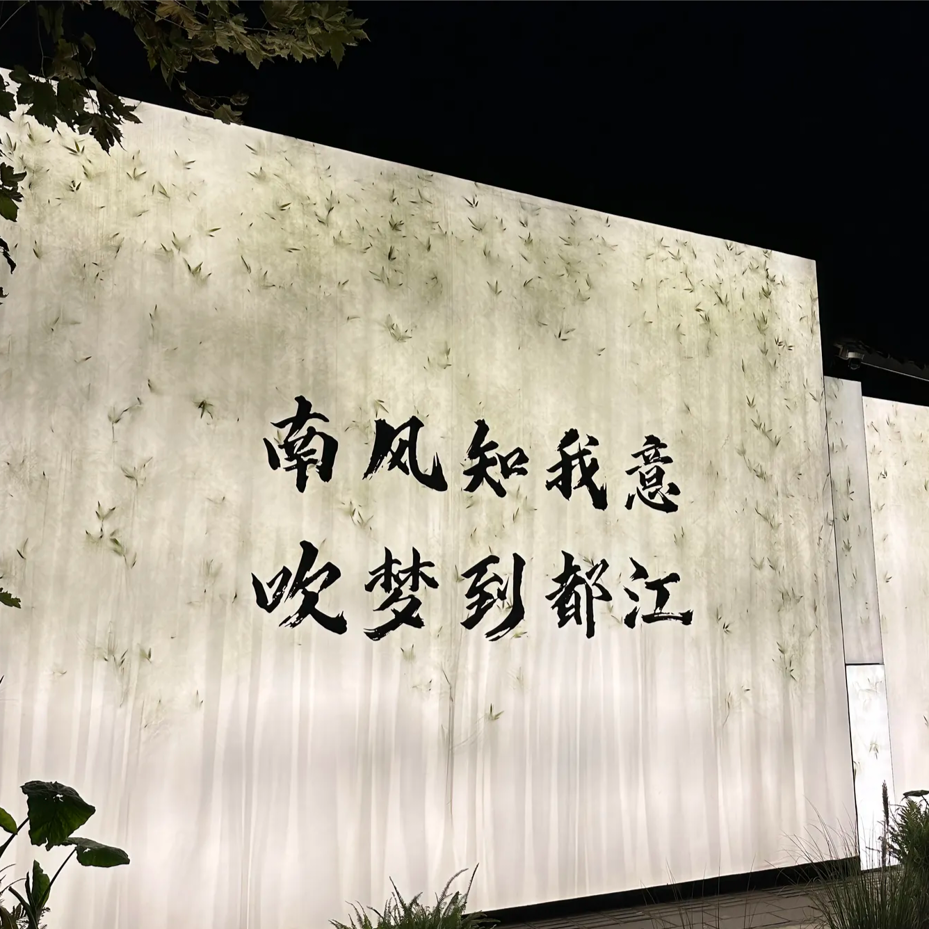 正午阳光封面
