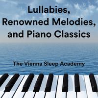 The Vienna Sleep Academy