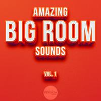 Amazing Big Room Sounds, Vol. 1