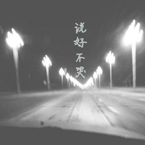 说好不哭_怪我太怪_说好不哭 | 在线播放_说好不哭歌词_说好不哭下载 | 网易云音乐
