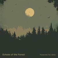 Echoes of the Forest