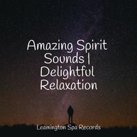 Sleep Recording Sounds - Evening Calm