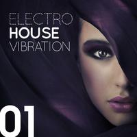 Electro House Vibration, Vol. 1