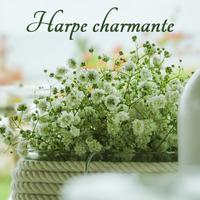 Harpe charmante – Musique de la harpe pour se détendre, dormir et rêver