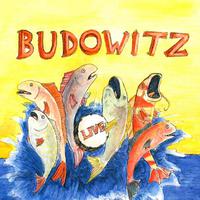 Budowitz