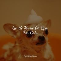 Gentle Music for Spa For Cats