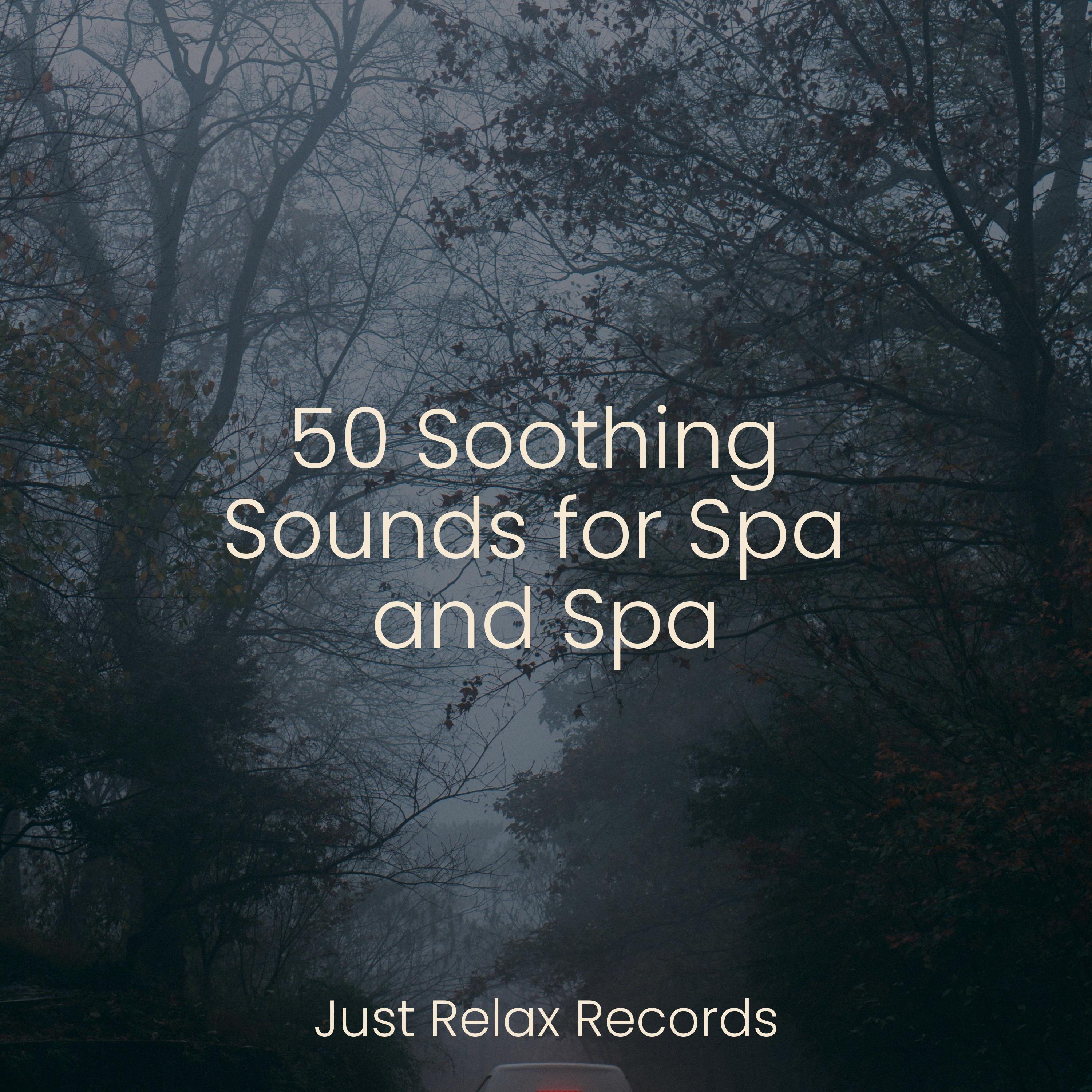 50 Soothing Sounds for Spa and Spa - Deep Sleep Relaxation - 专辑 - 网易云音乐