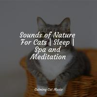 Sounds of Nature For Cats | Sleep | Spa and Meditation