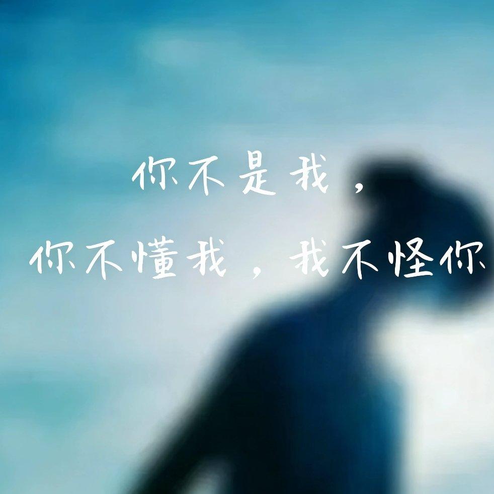 别说我的深情你不在乎封面